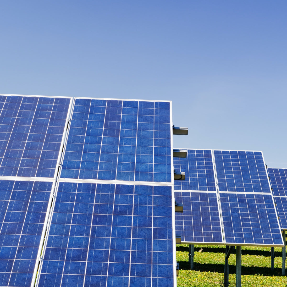 Compañía de paneles solares trae 1,500 puestos de trabajo a Mesquite