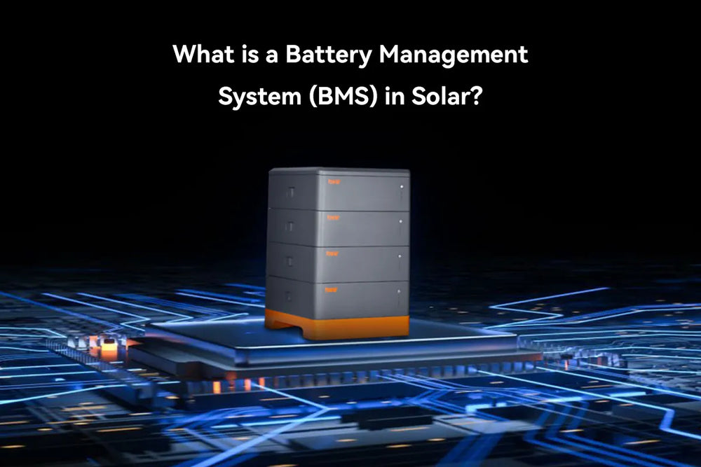 Battery Management System (BMS)